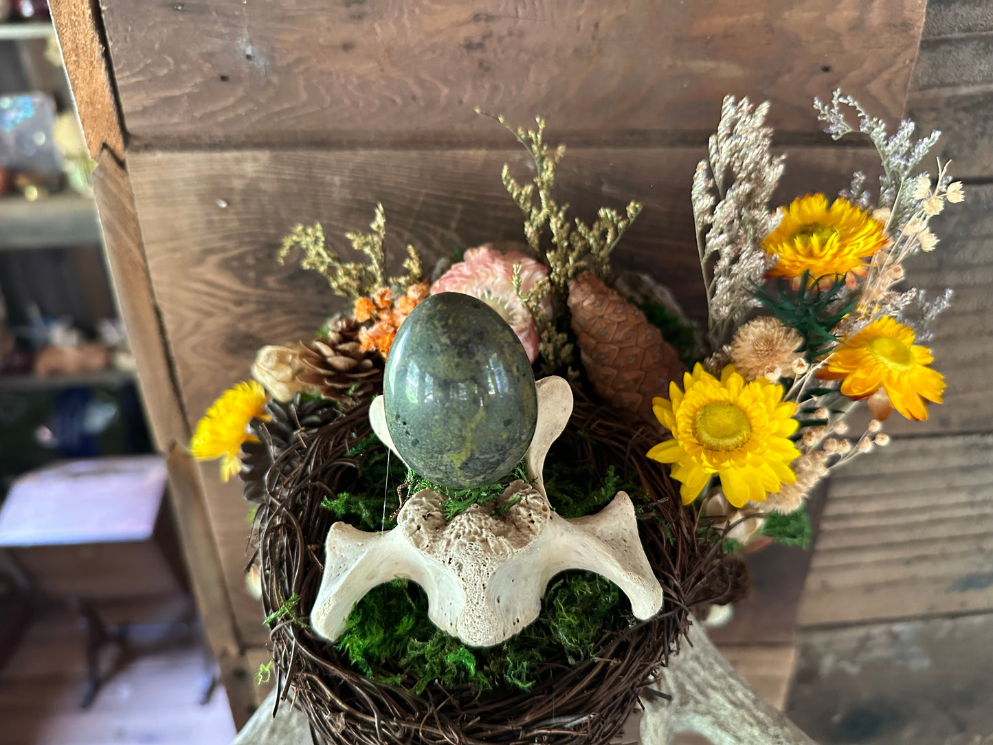 Antler Skull Cap Mount with Dragon's Blood Jasper