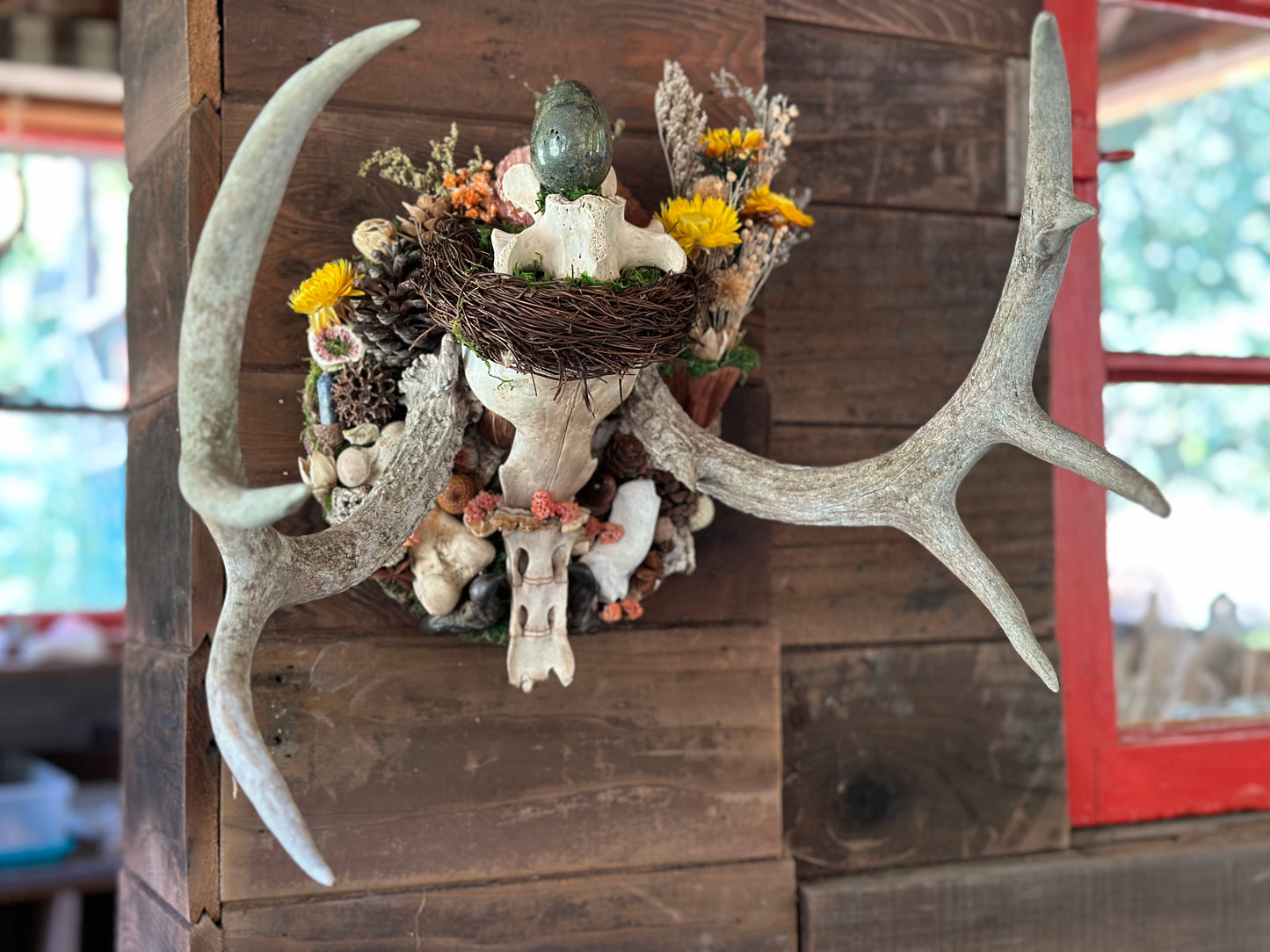Antler Skull Cap Mount with Dragon's Blood Jasper