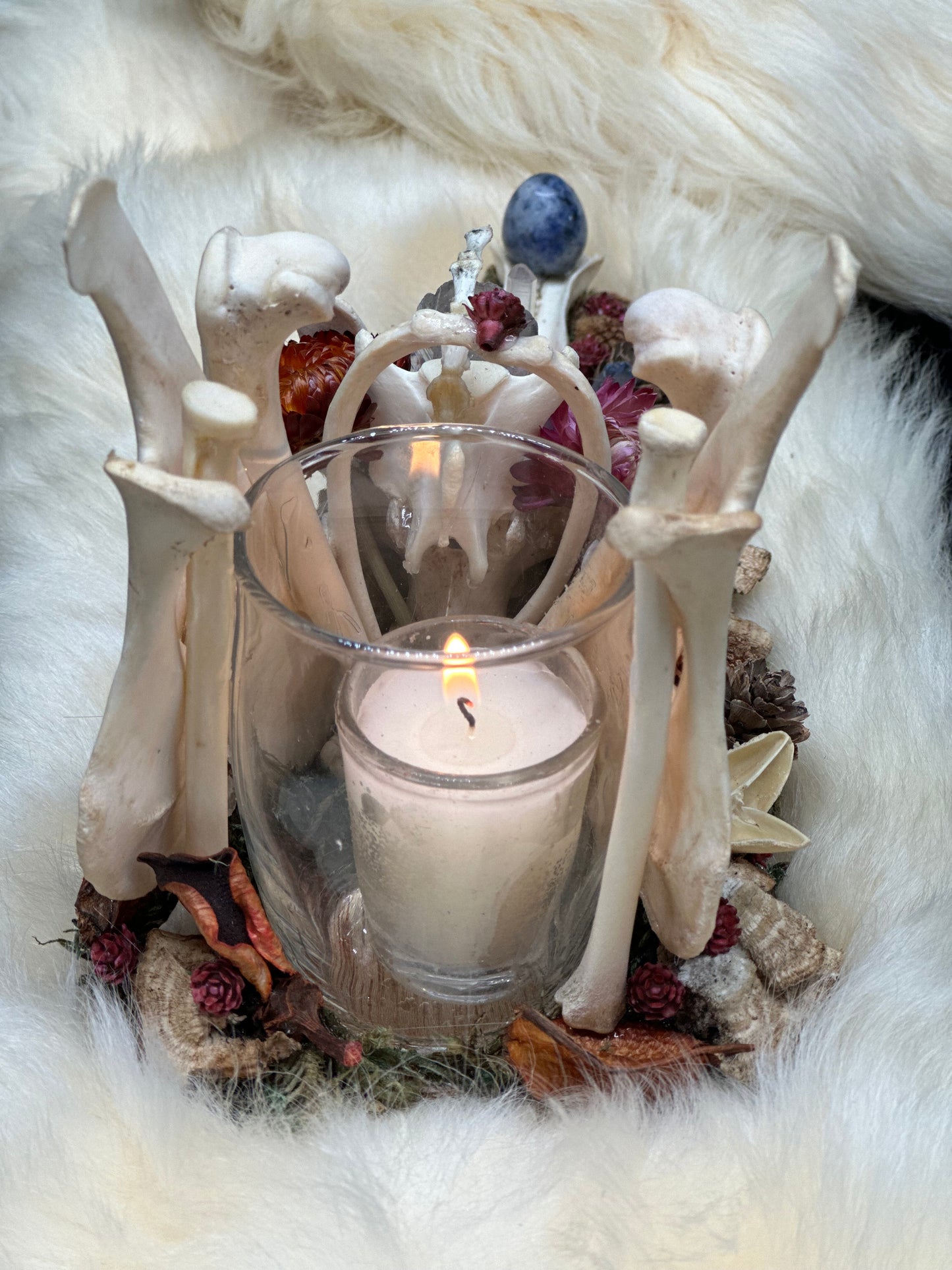 Deer Jaw Candle Holder (Sodalite Crystal Egg)