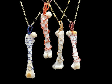 Skunk Femur Necklace Wire Wrapped (Blue/Purple)