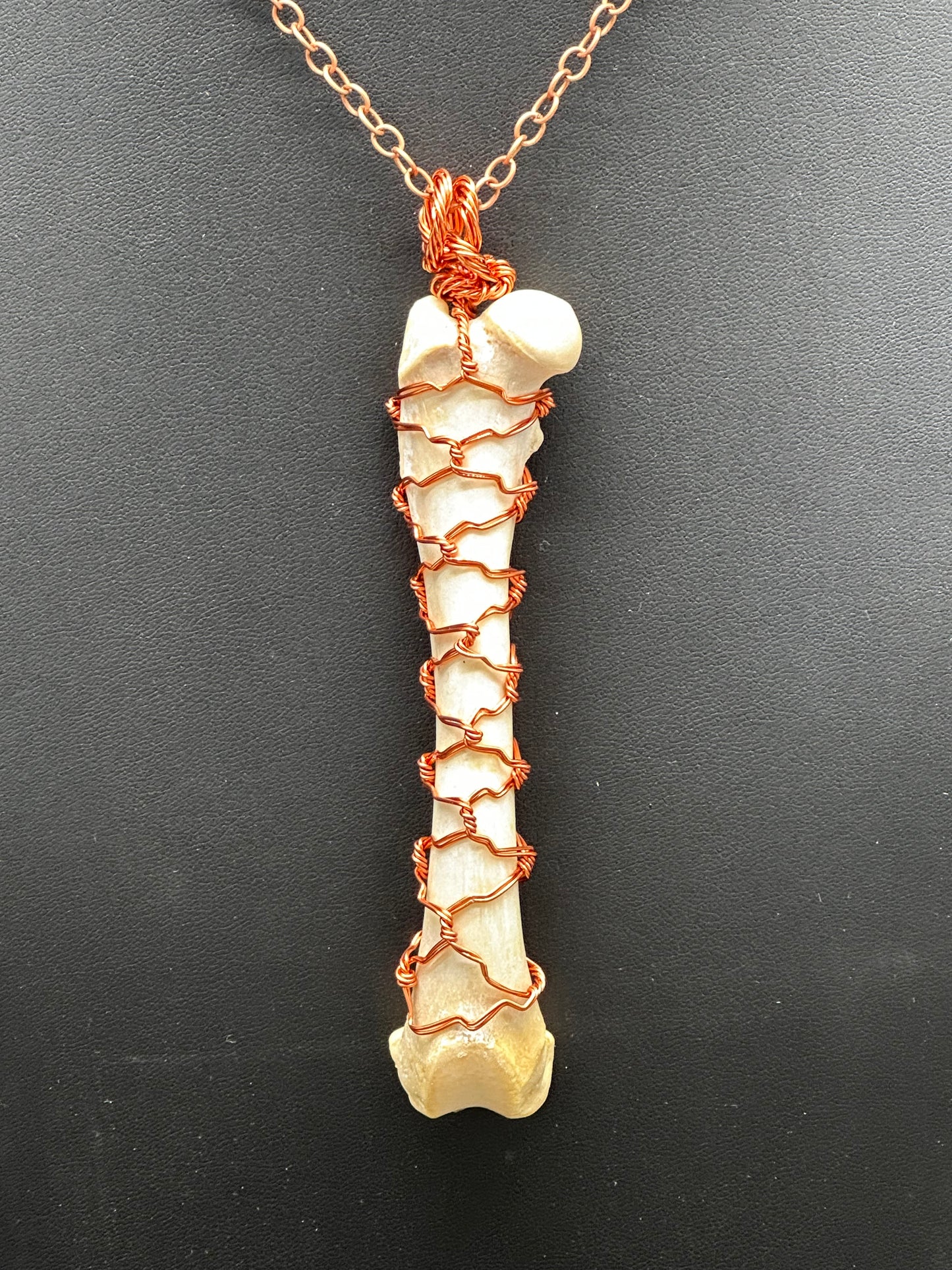 Raccoon Femur Necklace Wire Wrapped (Copper)