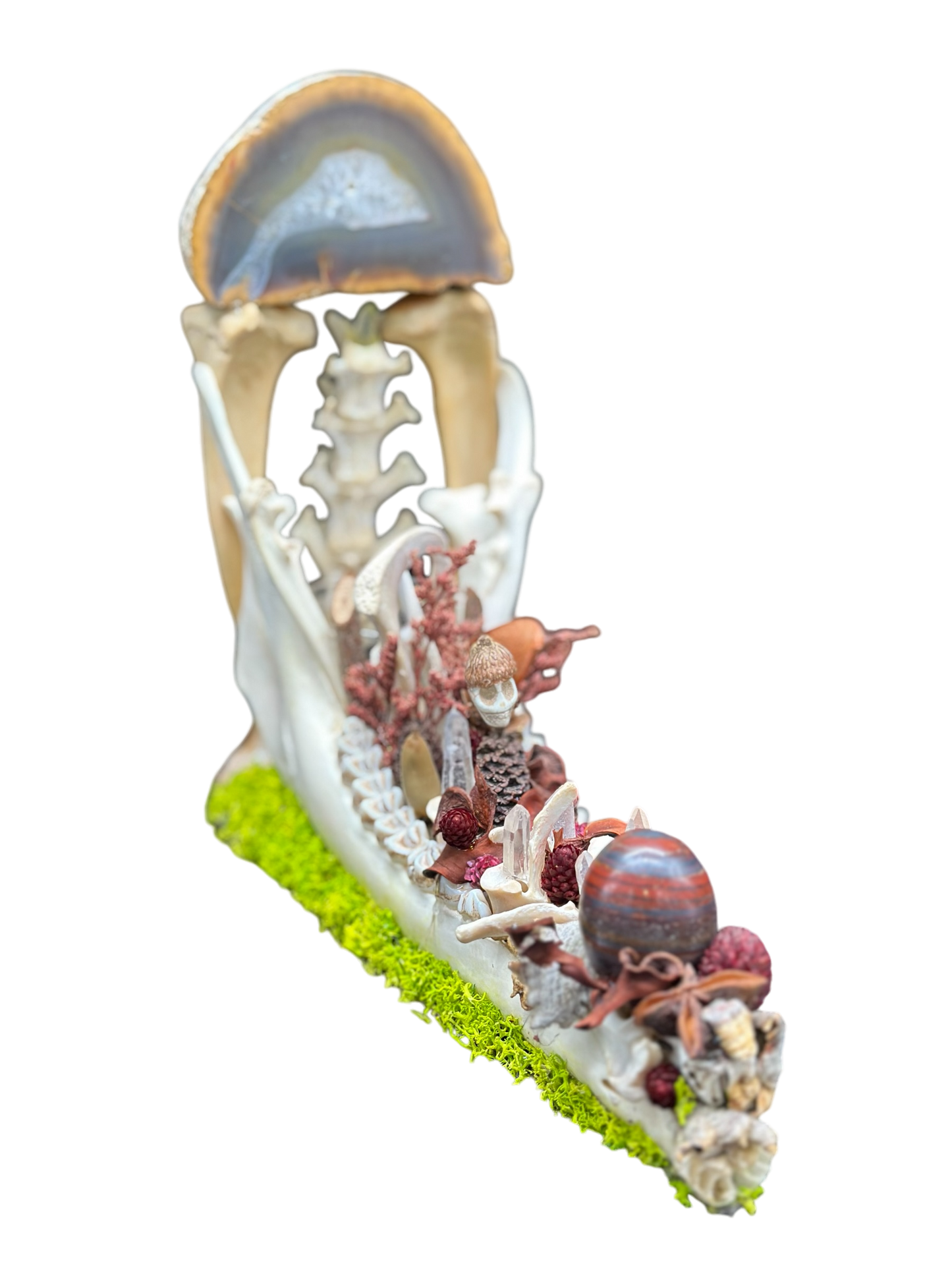 Deer Jaw Candle Holder (Vertebrae & Geode)