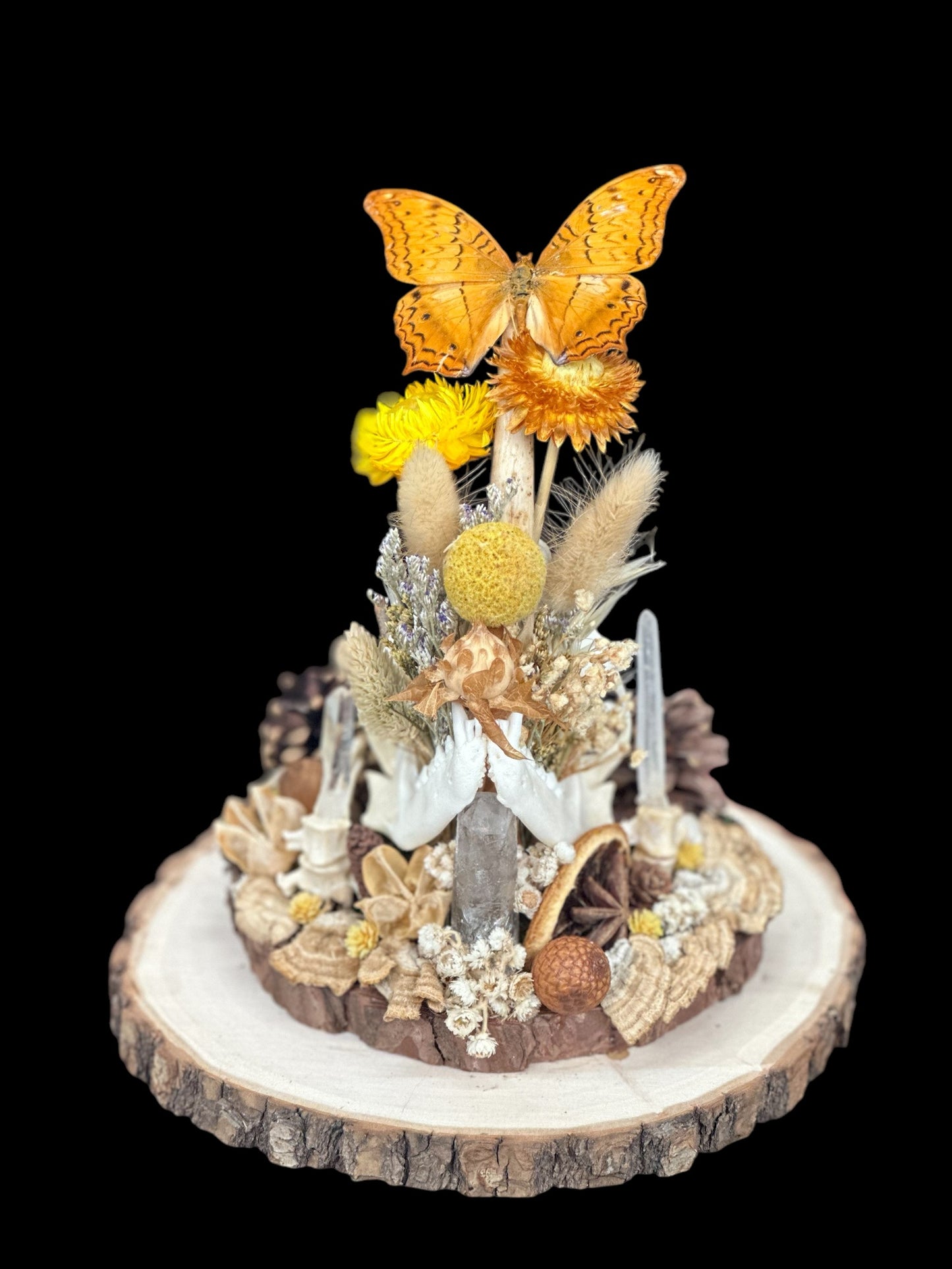 Raccoon Skull Glass Dome with Butterfly