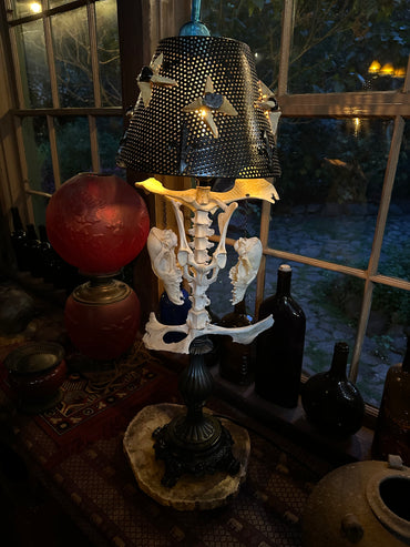 Fox Skulls & Deer Vertebrae Lamp