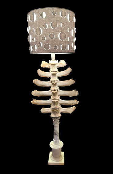 Cow Vertebrae Lamp on Marble Base