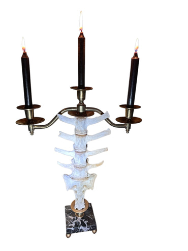 Deer Vertebrae Candelabra