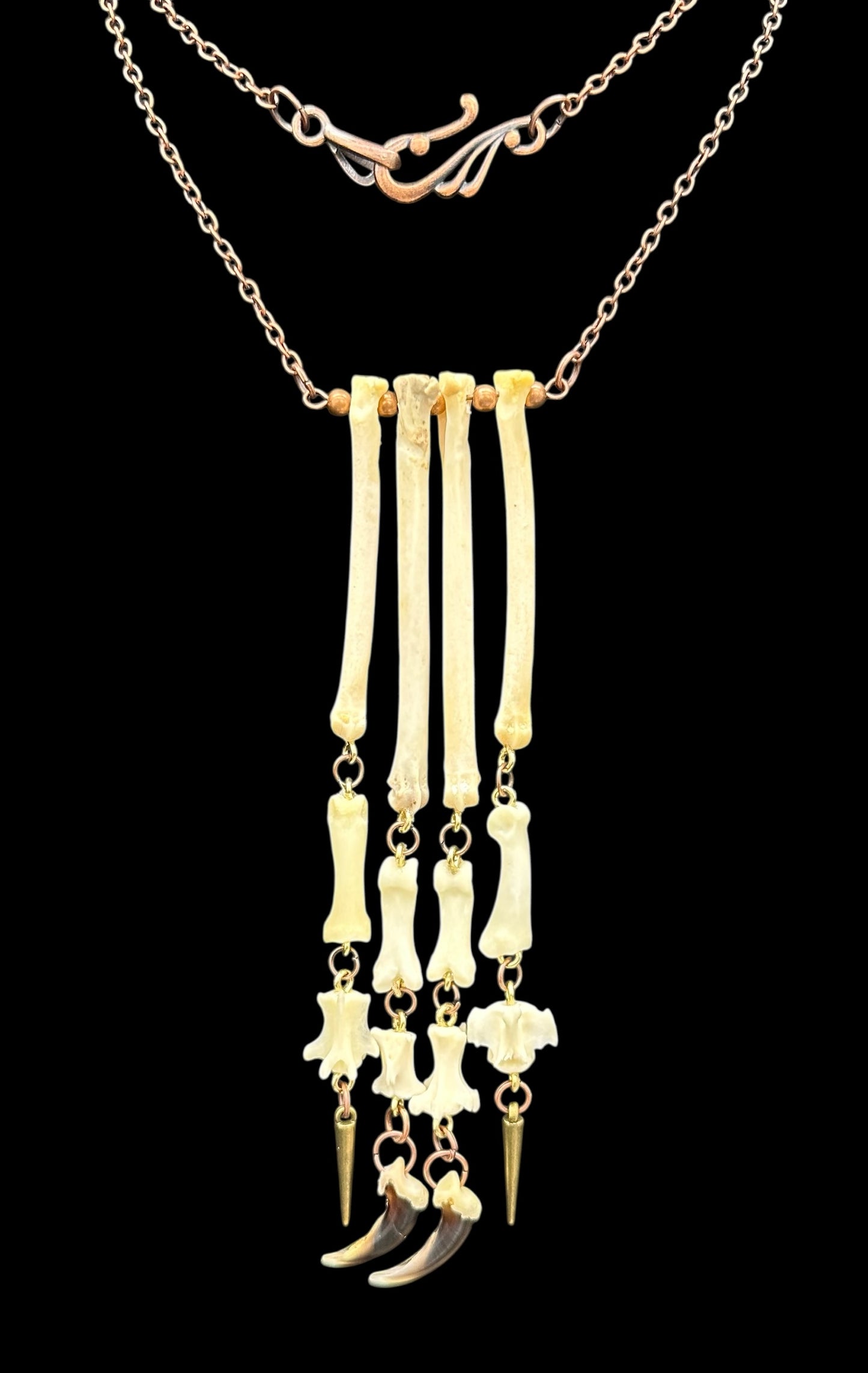 Hanging Paw Necklace with Coyote Claws