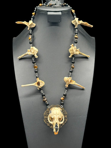 Muskrat Skull with Coyote Vertebrae Necklace