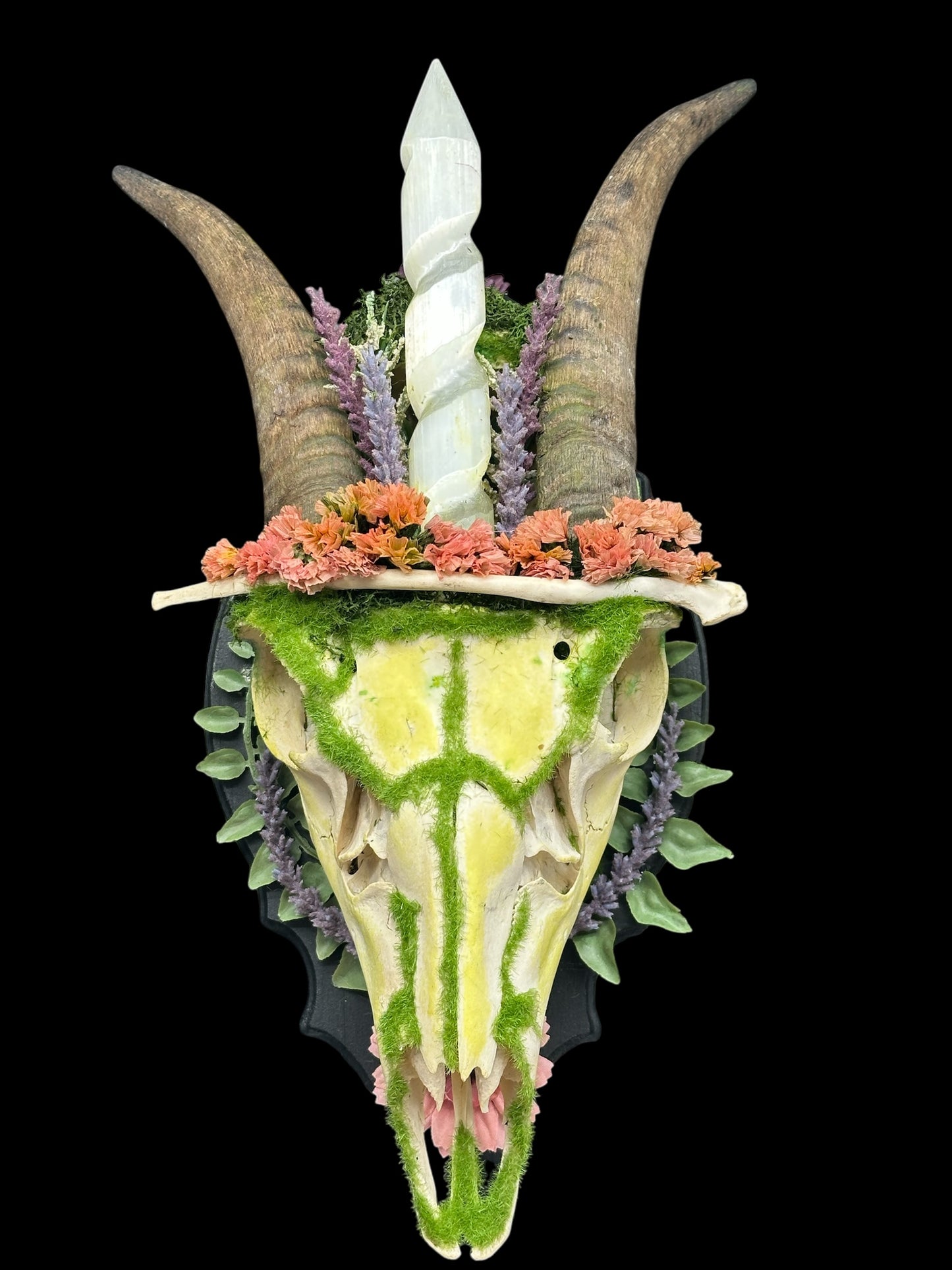 Deer Skull with Twisted Selenite Crystal