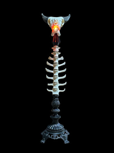 Goat Skull with Sheep Vertebrae
