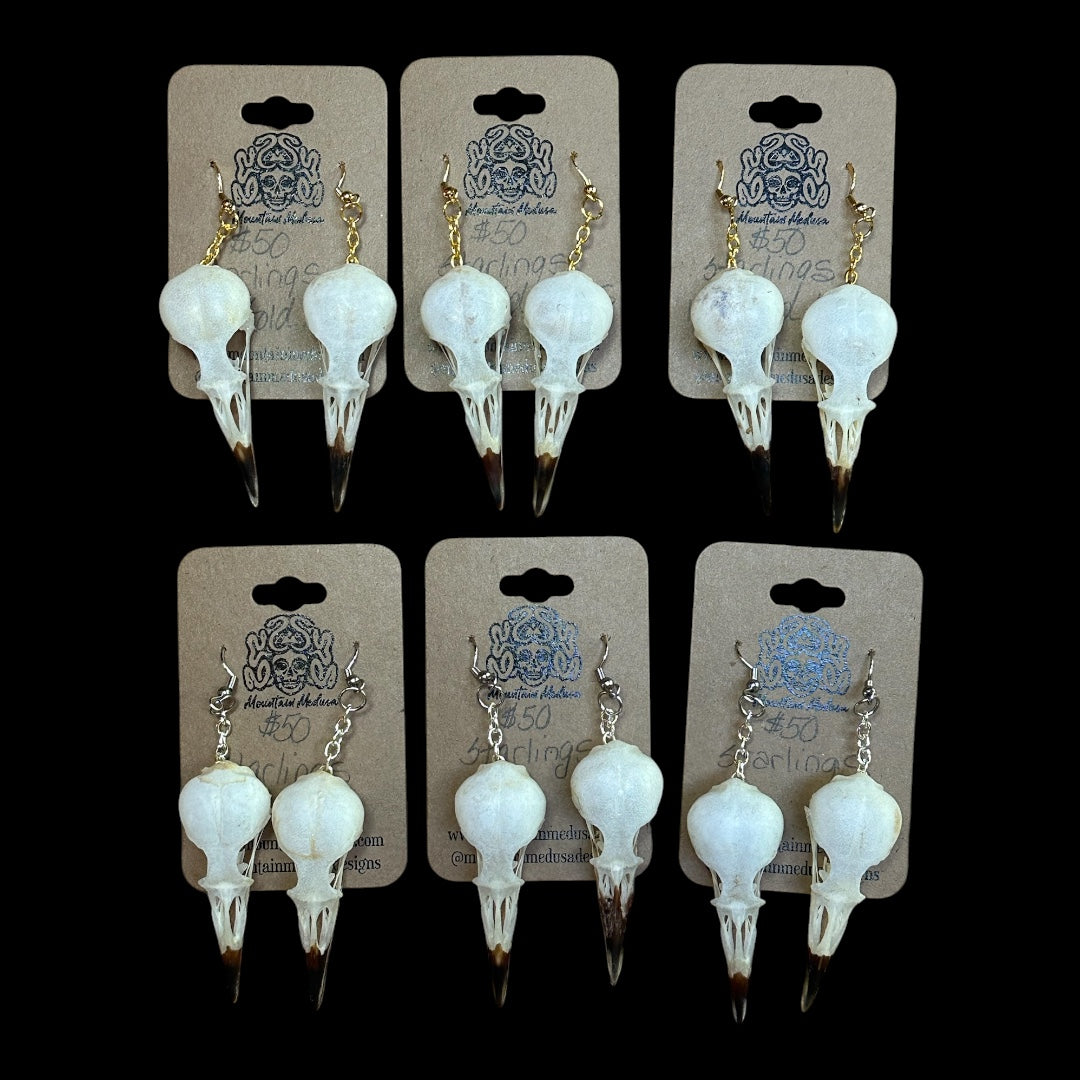 Starling Skull Earrings