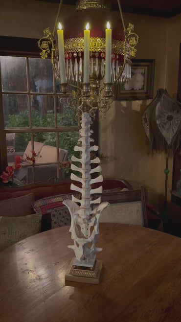 Sheep Spine Brass Candelabra