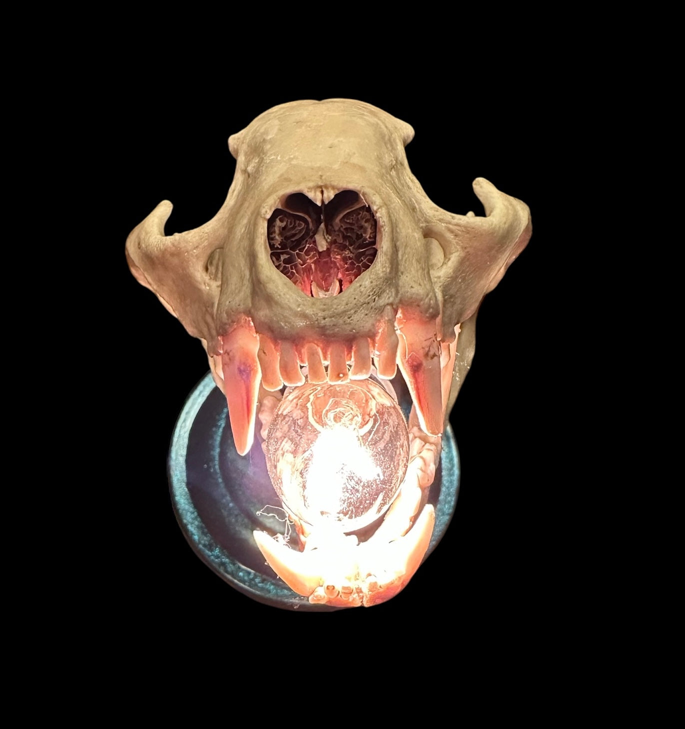 Racoon Skull Lamp (Green)