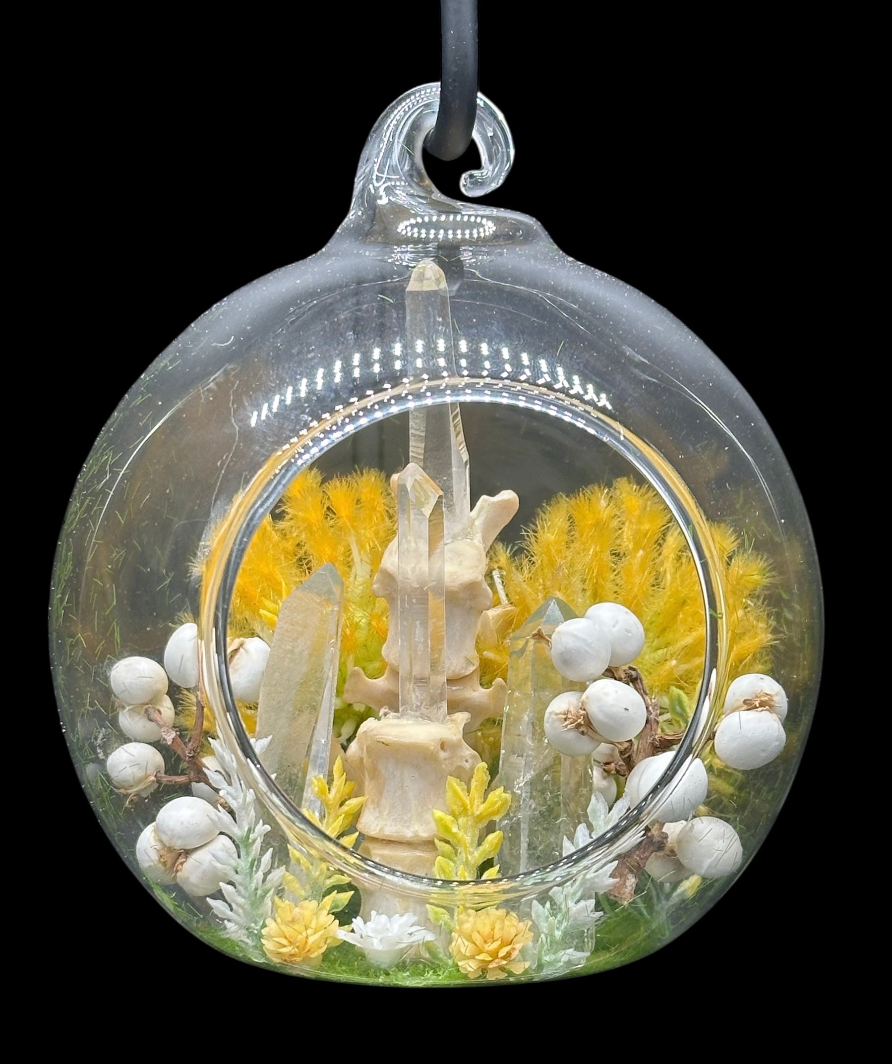 Glass Ornament - Fox Vertebrae