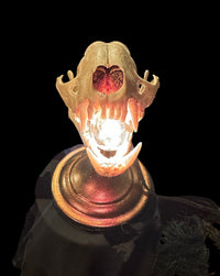 Racoon Skull Lamp (Copper)