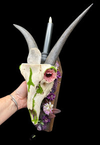 Deer Skull with Goat Horns & Quartz Candle Holder
