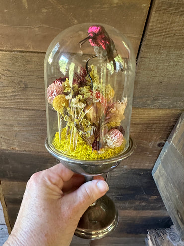 Hummingbird Glass Dome Display