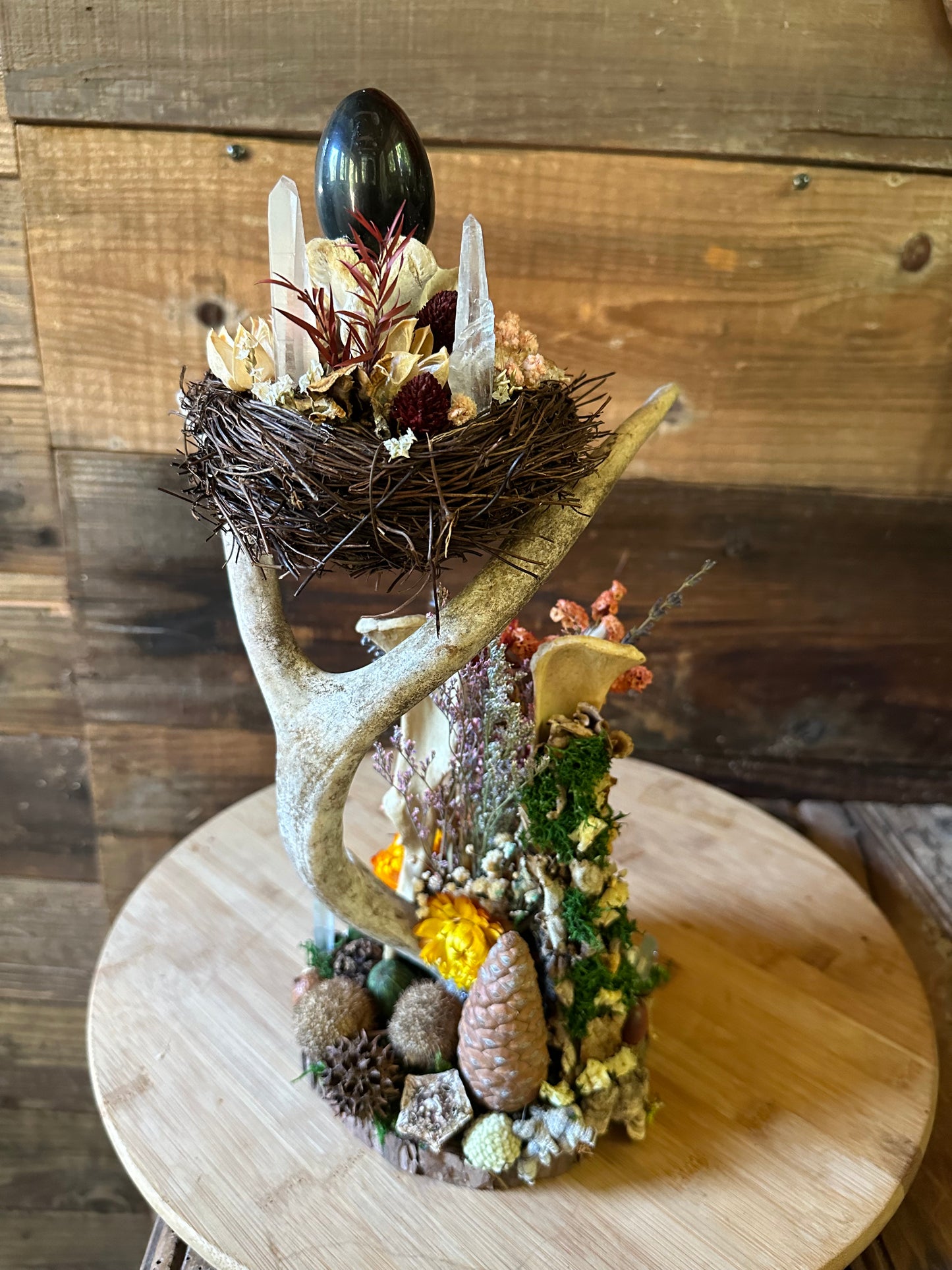 Beaver Pelvis & Antler Pedestal with Rainbow Obsidian Stone