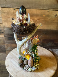 Beaver Pelvis & Antler Pedestal with Rainbow Obsidian Stone