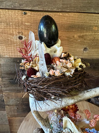 Beaver Pelvis & Antler Pedestal with Rainbow Obsidian Stone