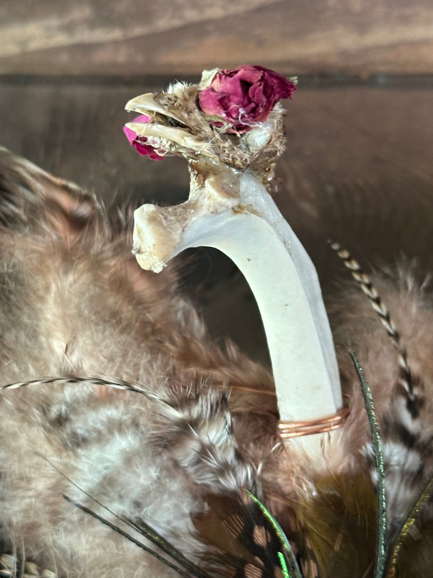 Antler Skull Cap Mount with Yellow Jasper Stone