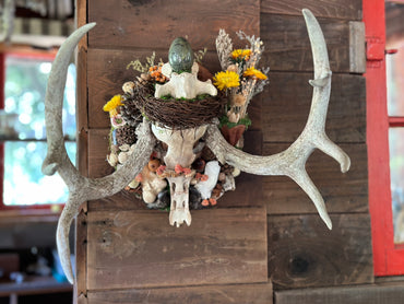 Antler Skull Cap Mount with Dragon's Blood Jasper