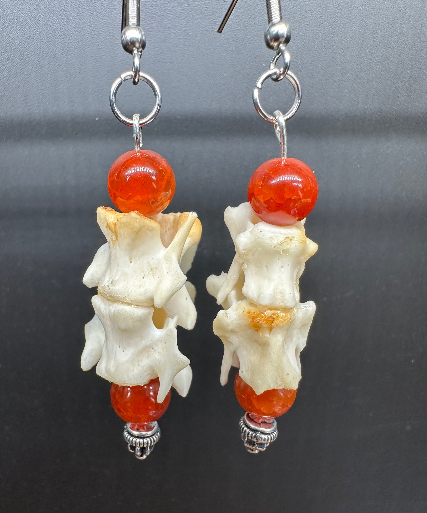 Skunk Vertebrae Earrings with Orange Beads