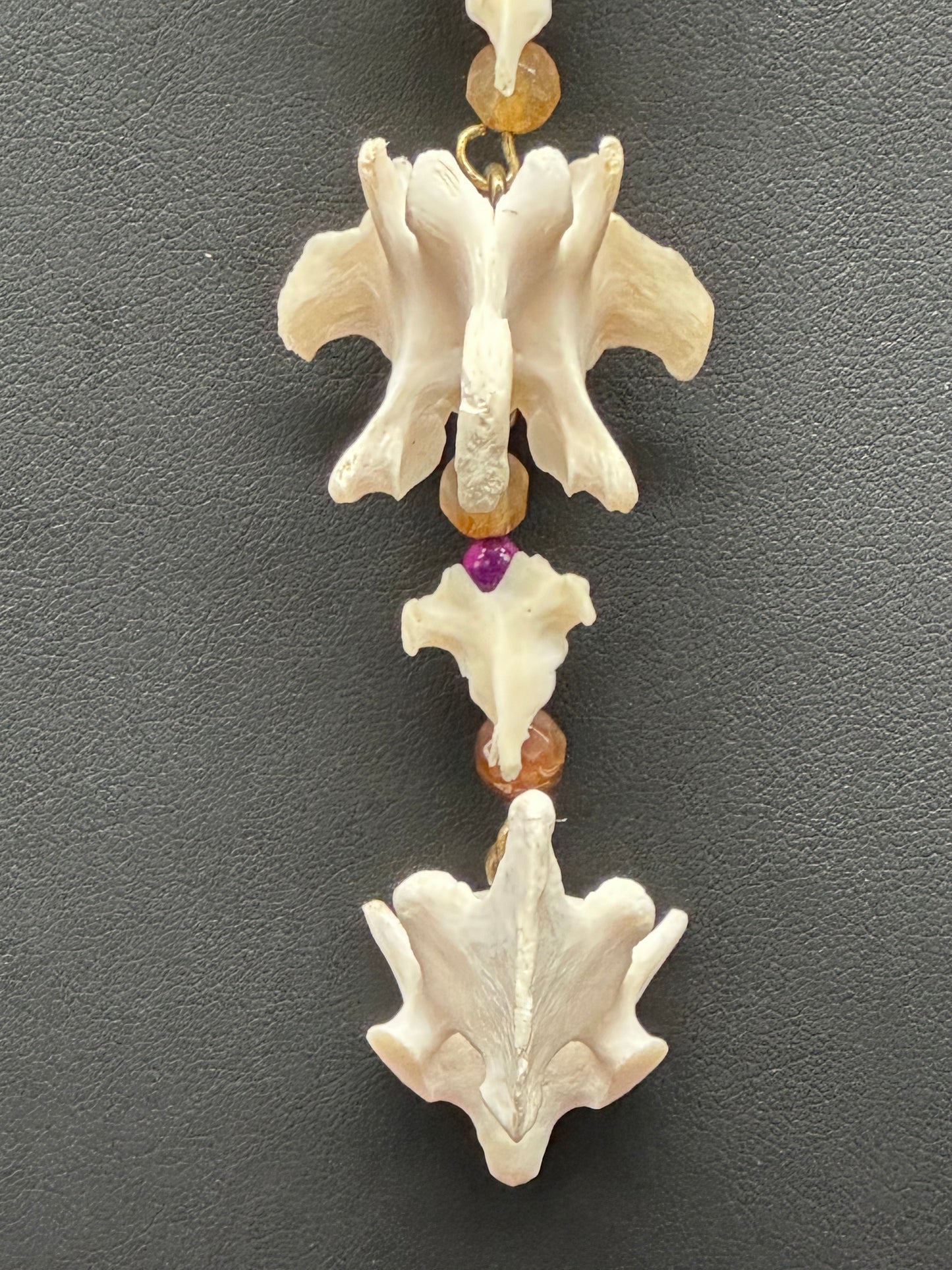 Raccoon & Skunk Vertebrae Necklace with Glass Beads