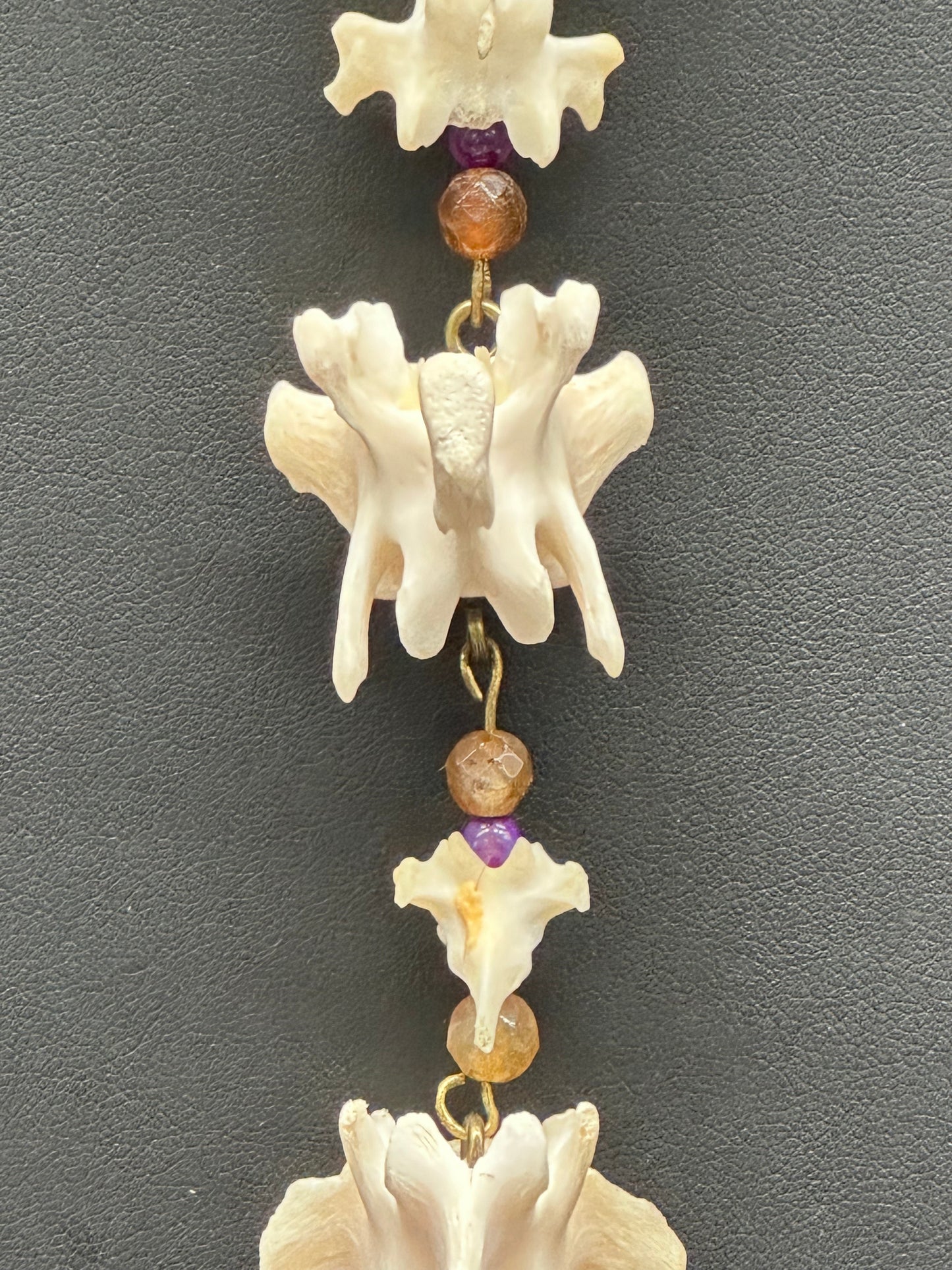 Raccoon & Skunk Vertebrae Necklace with Glass Beads