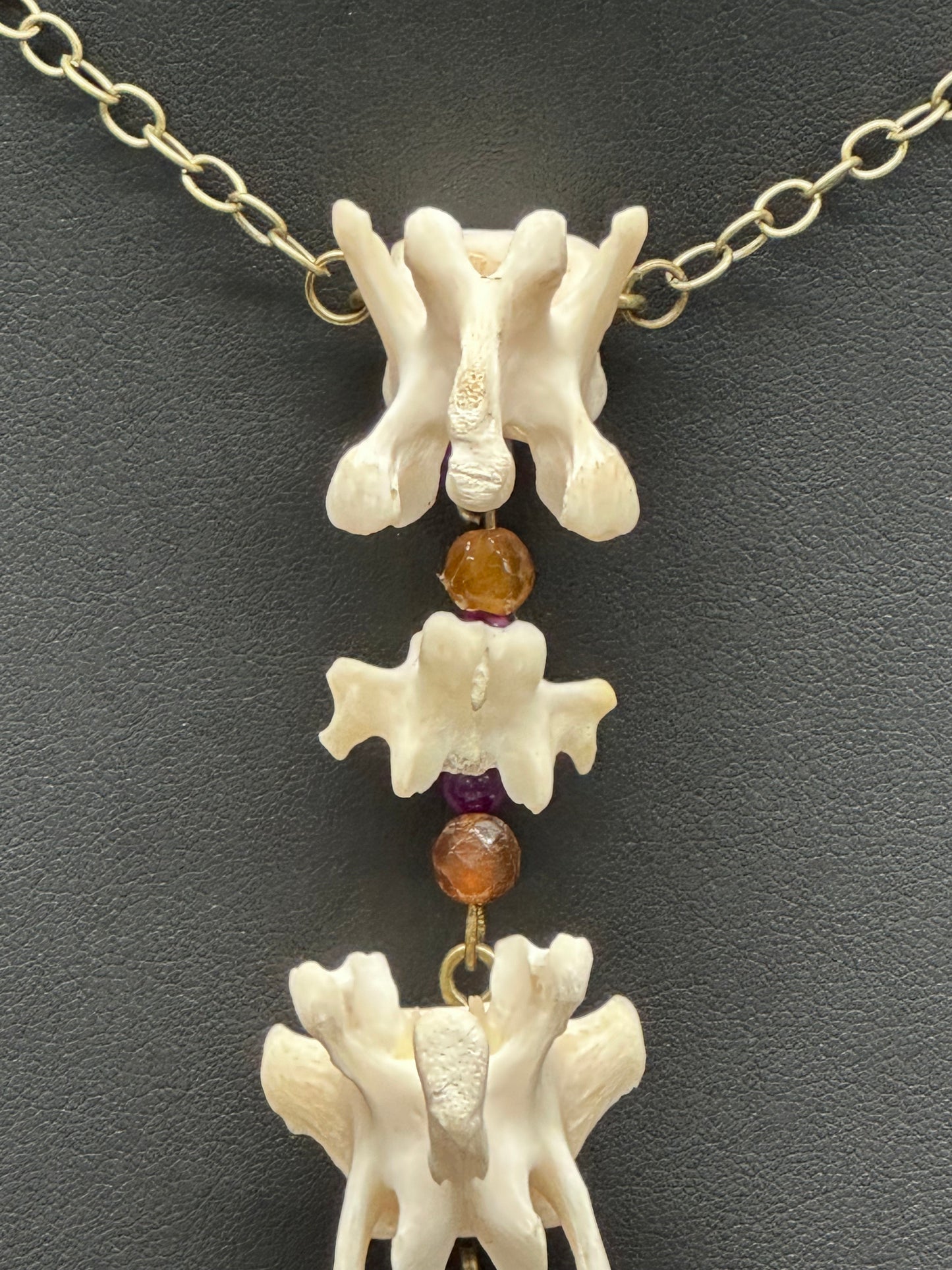 Raccoon & Skunk Vertebrae Necklace with Glass Beads