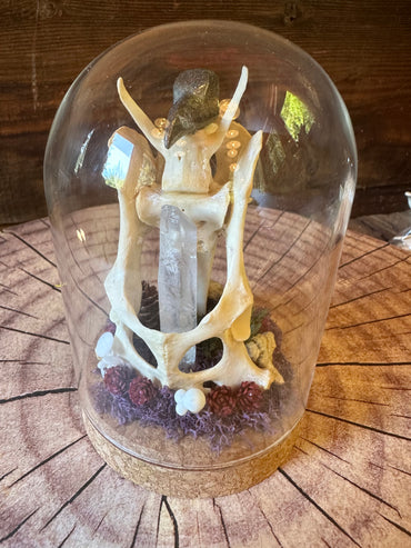 Articulated Pelvis & Sacrum - Quartz & Crystal Raven Skull