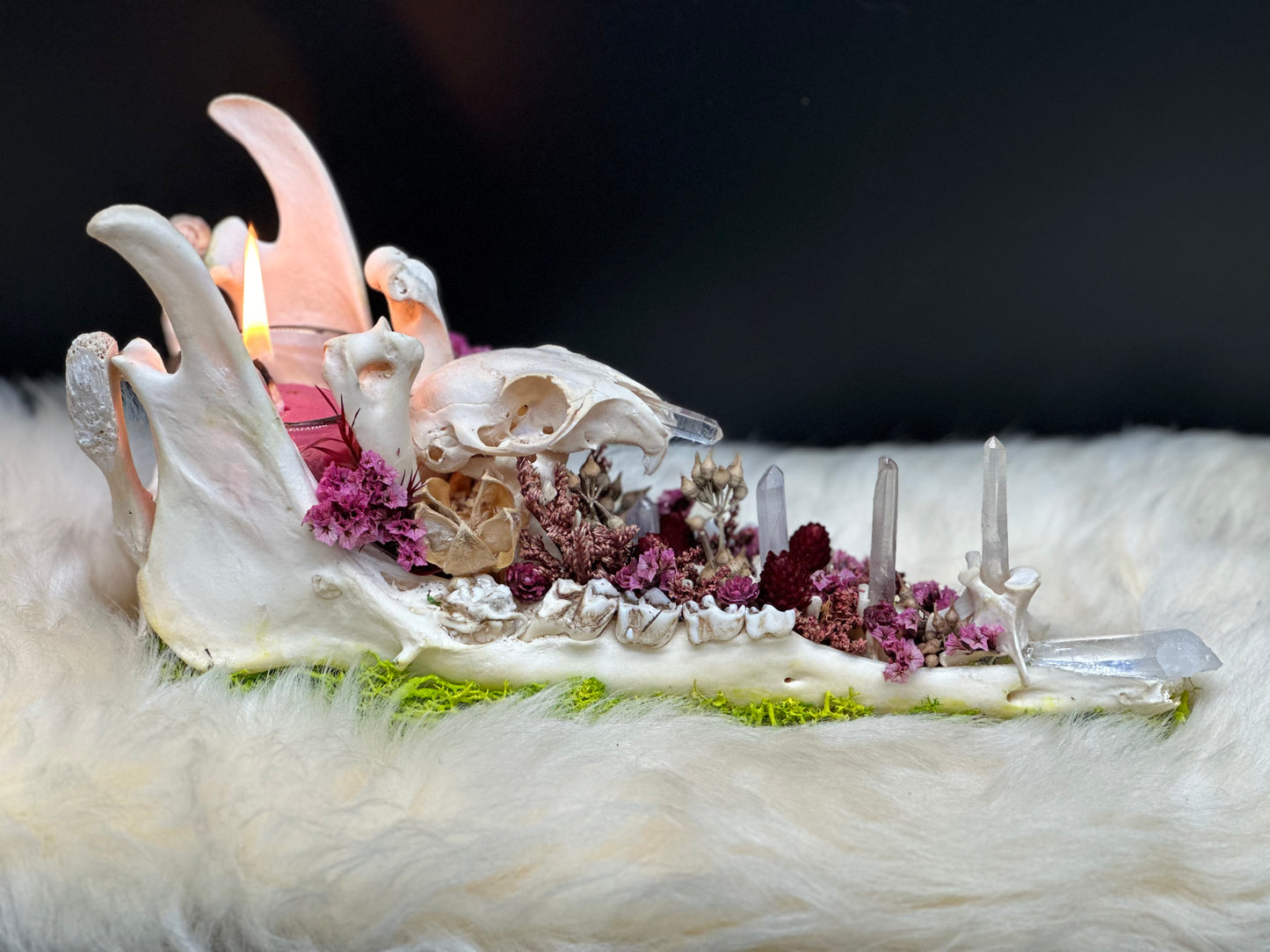 Deer Jaw Candle Holder (Squirrel Skull & Quartz Crystals)