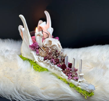 Deer Jaw Candle Holder (Squirrel Skull & Quartz Crystals)