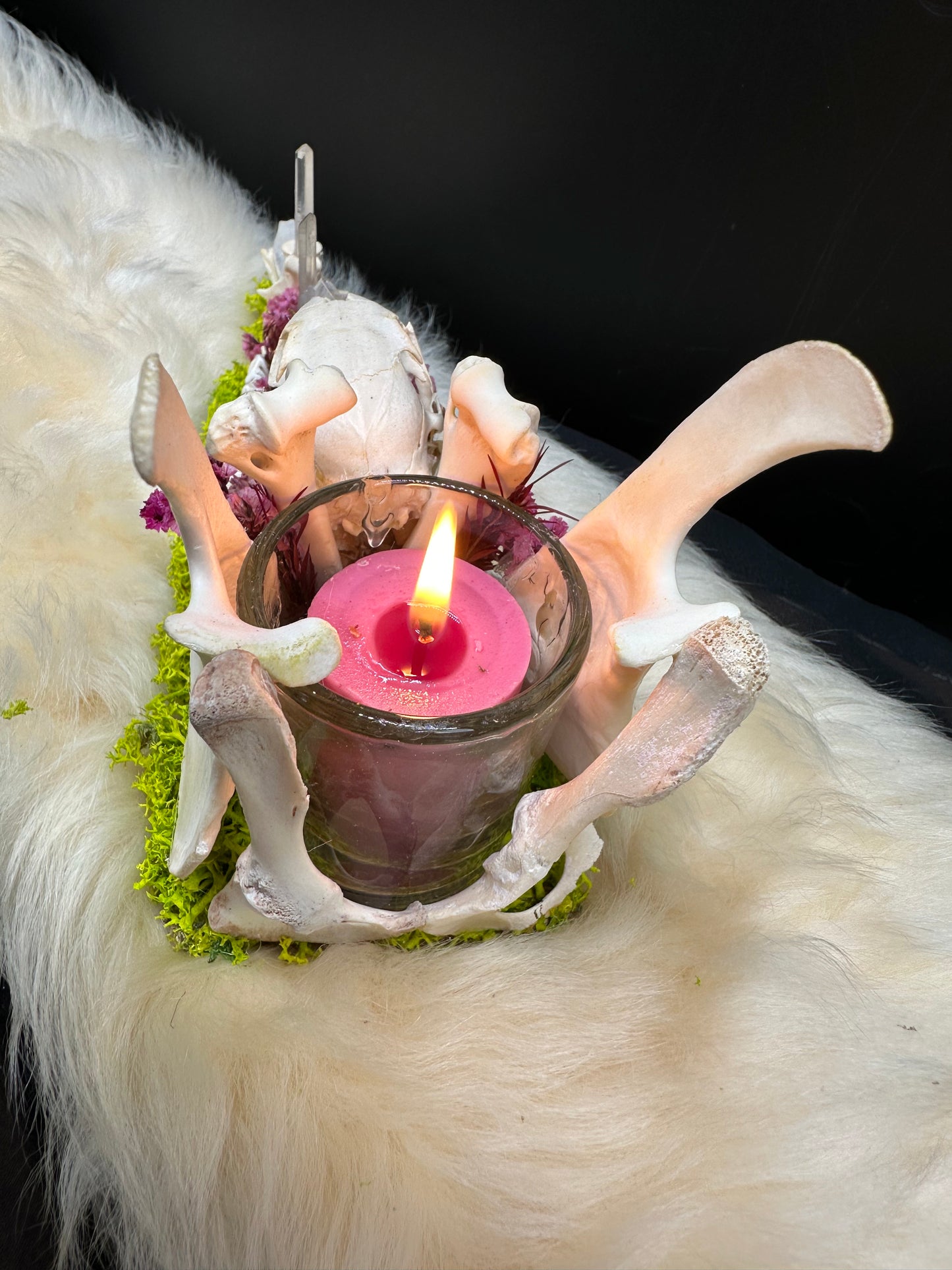 Deer Jaw Candle Holder (Squirrel Skull & Quartz Crystals)