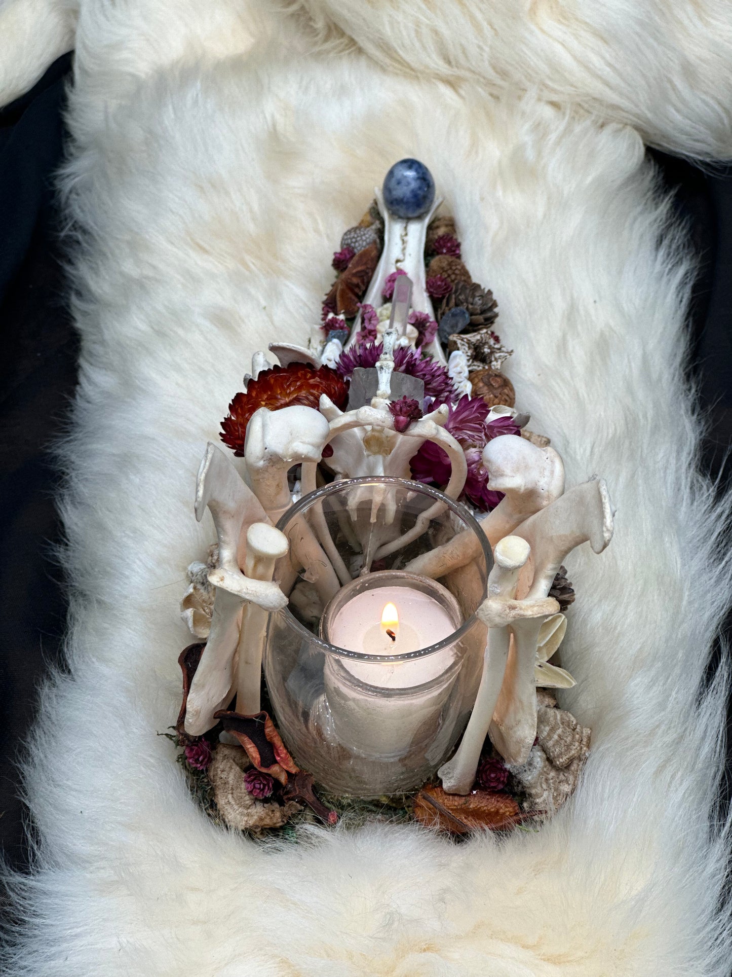 Deer Jaw Candle Holder (Sodalite Crystal Egg)