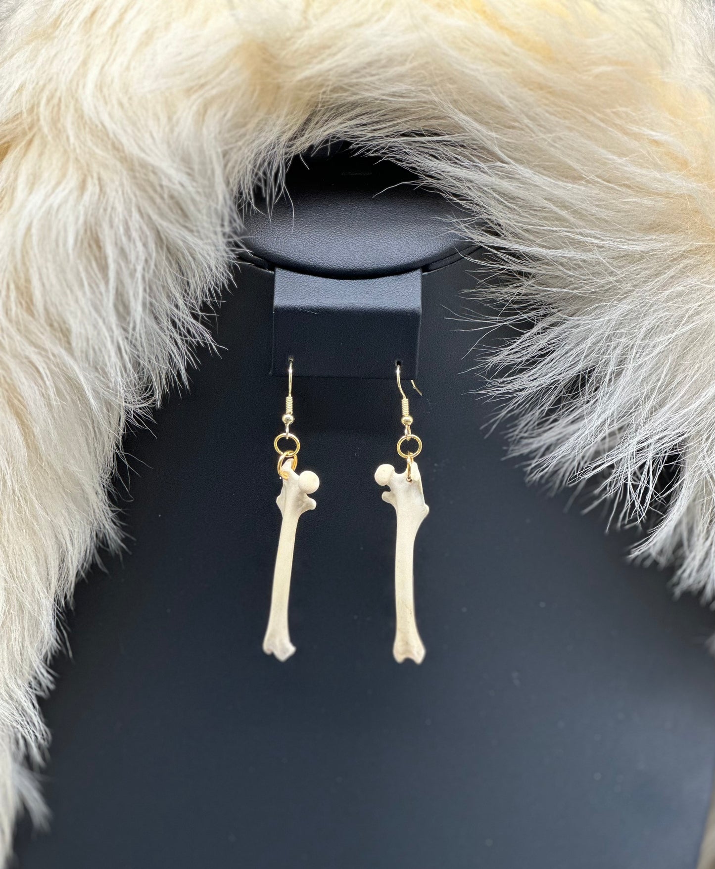 Raccoon Femur Earrings