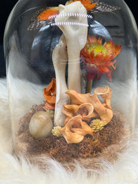 Bones & Butterfly Glass Dome (Orange)