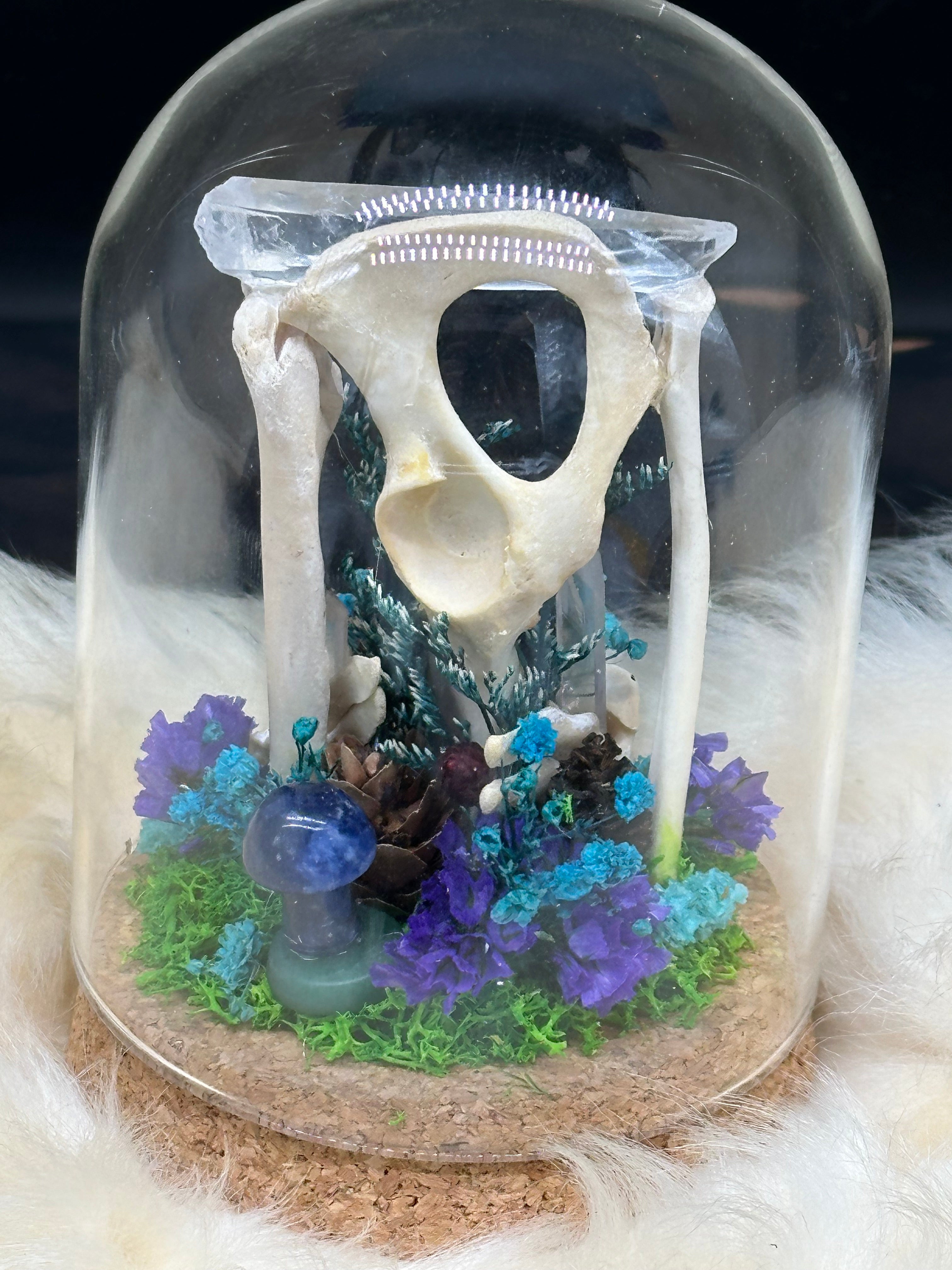 Bones & Crystals Glass Dome (Blue & Purple)