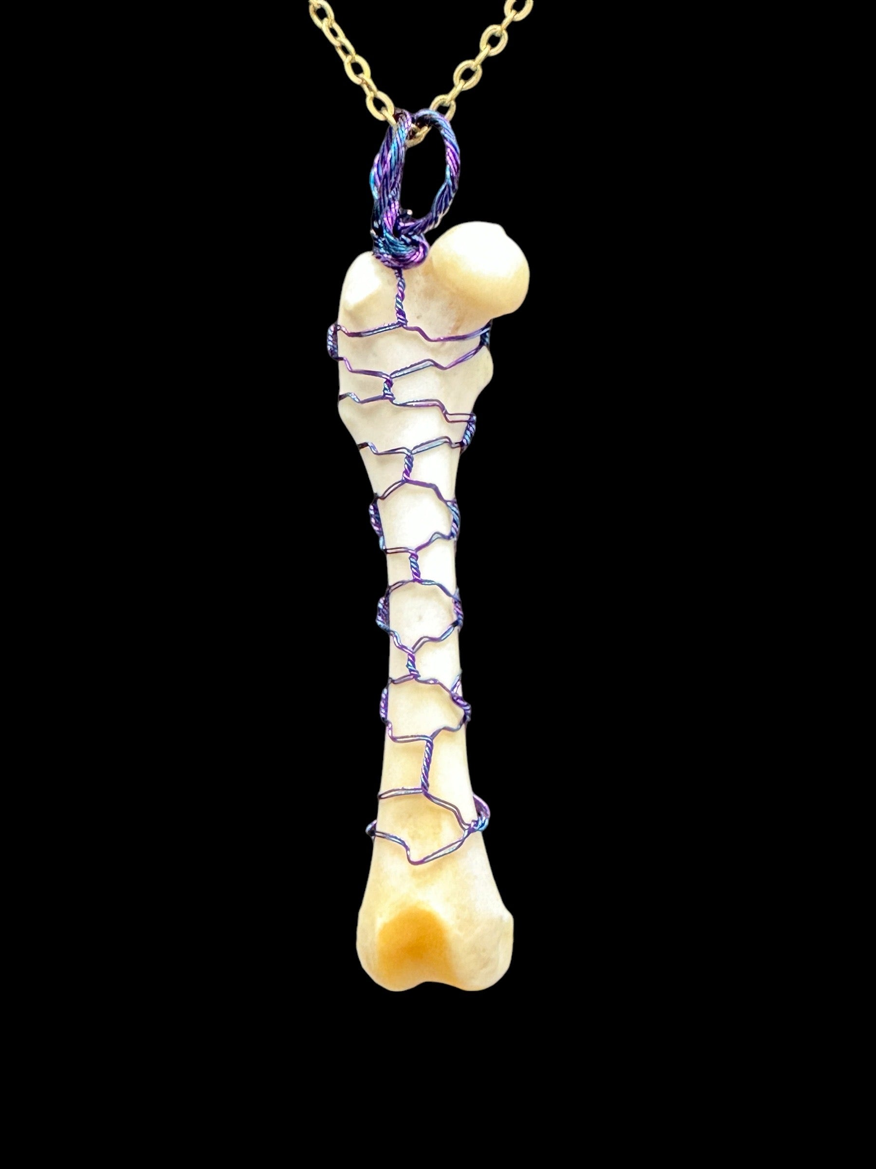 Skunk Femur Necklace Wire Wrapped (Blue/Purple)