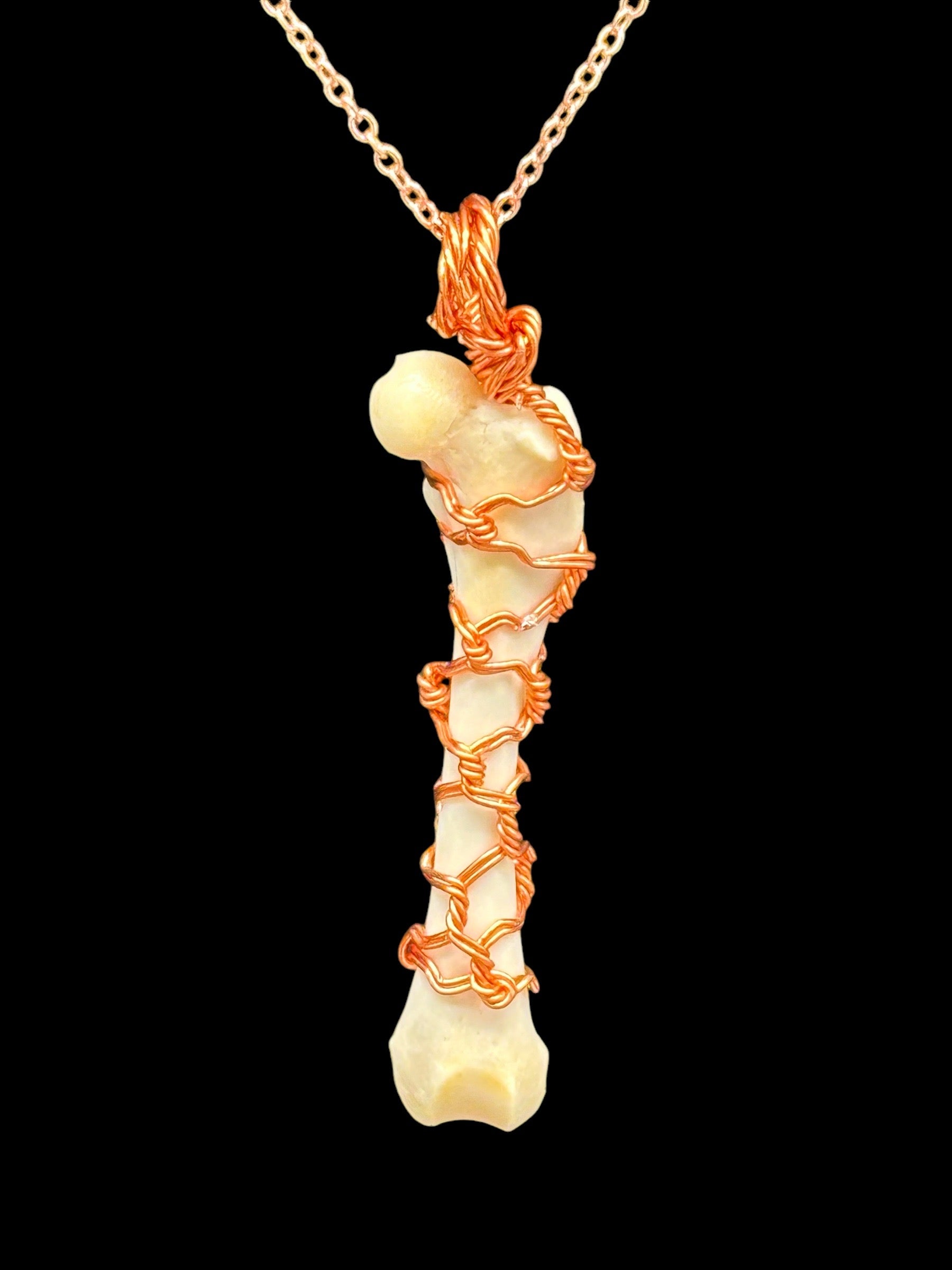 Skunk Femur Necklace Wire Wrapped (Copper)