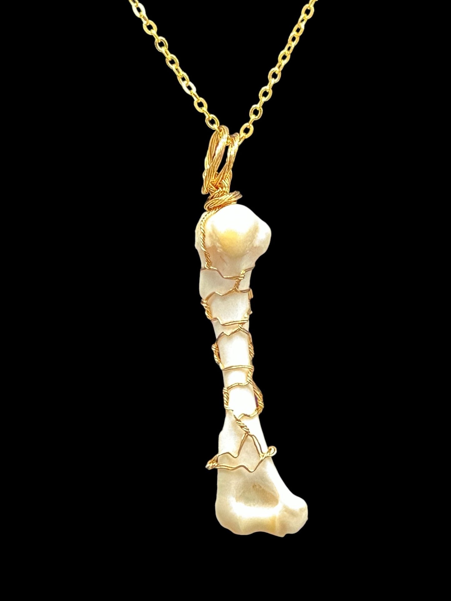 Skunk Tibia Necklace Wire Wrapped (Gold)