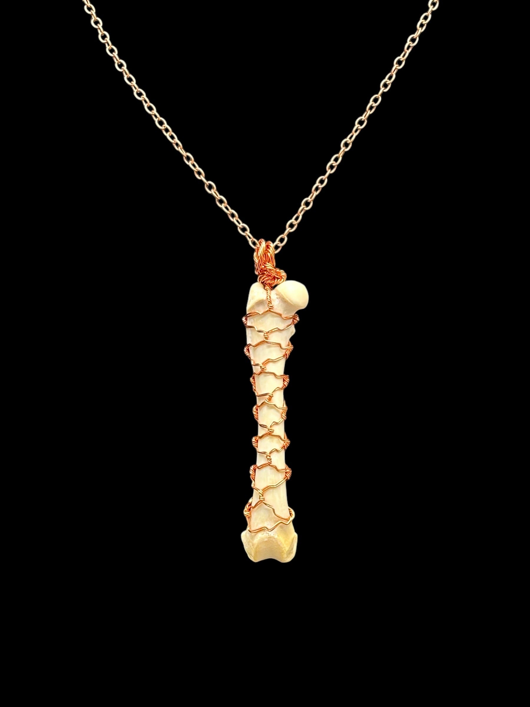 Raccoon Femur Necklace Wire Wrapped (Copper)