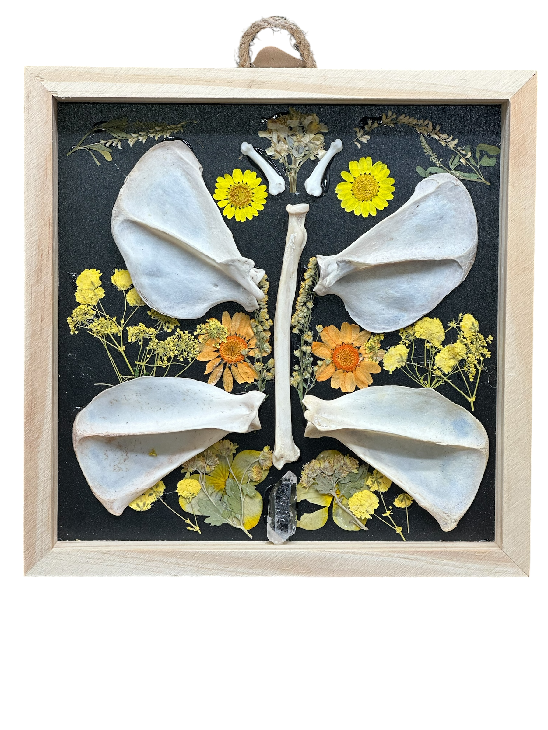 Yellow Flower & Bone Butterfly Shadow Box