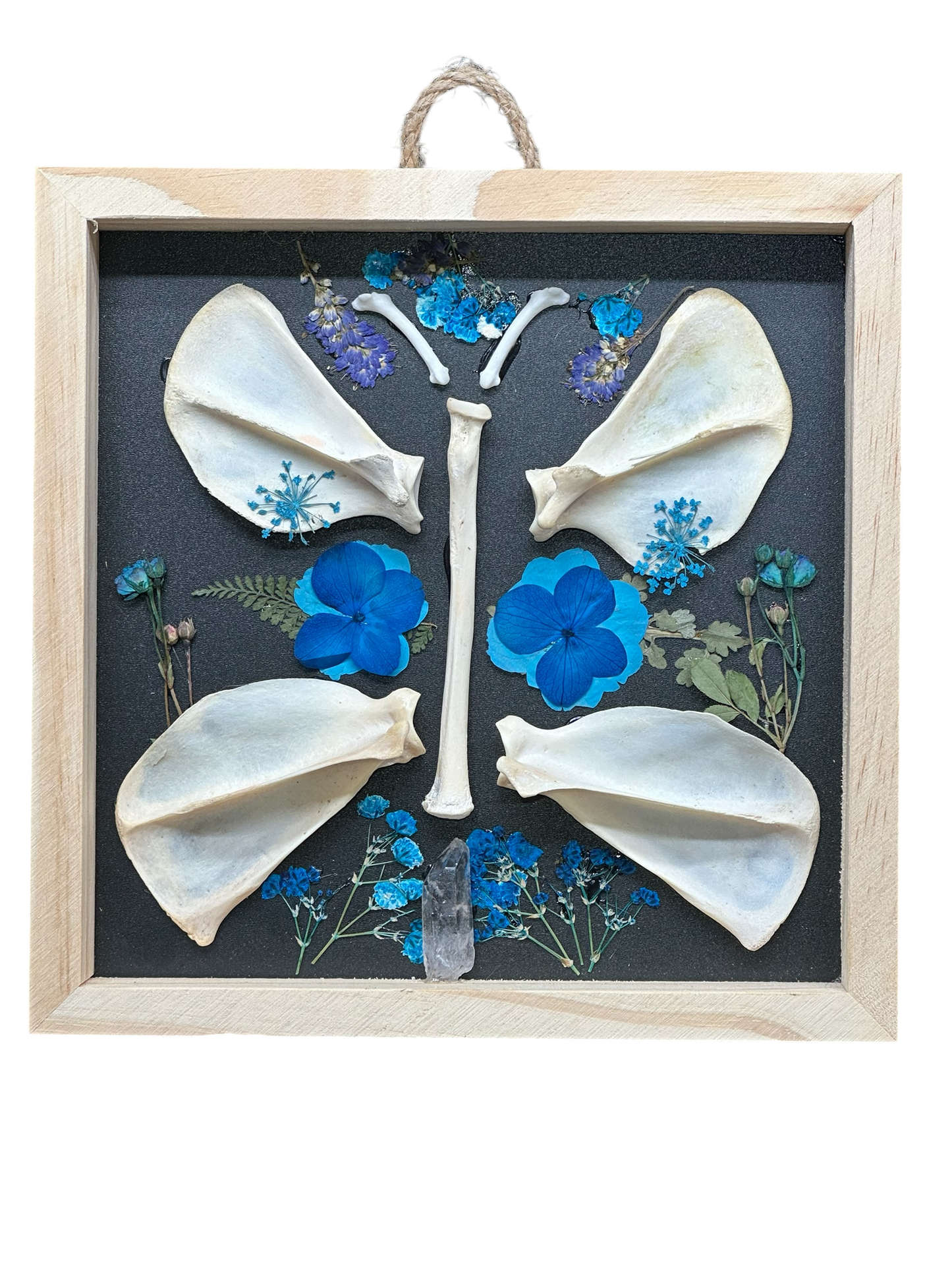 Blue Flower & Bone Butterfly Shadow Box