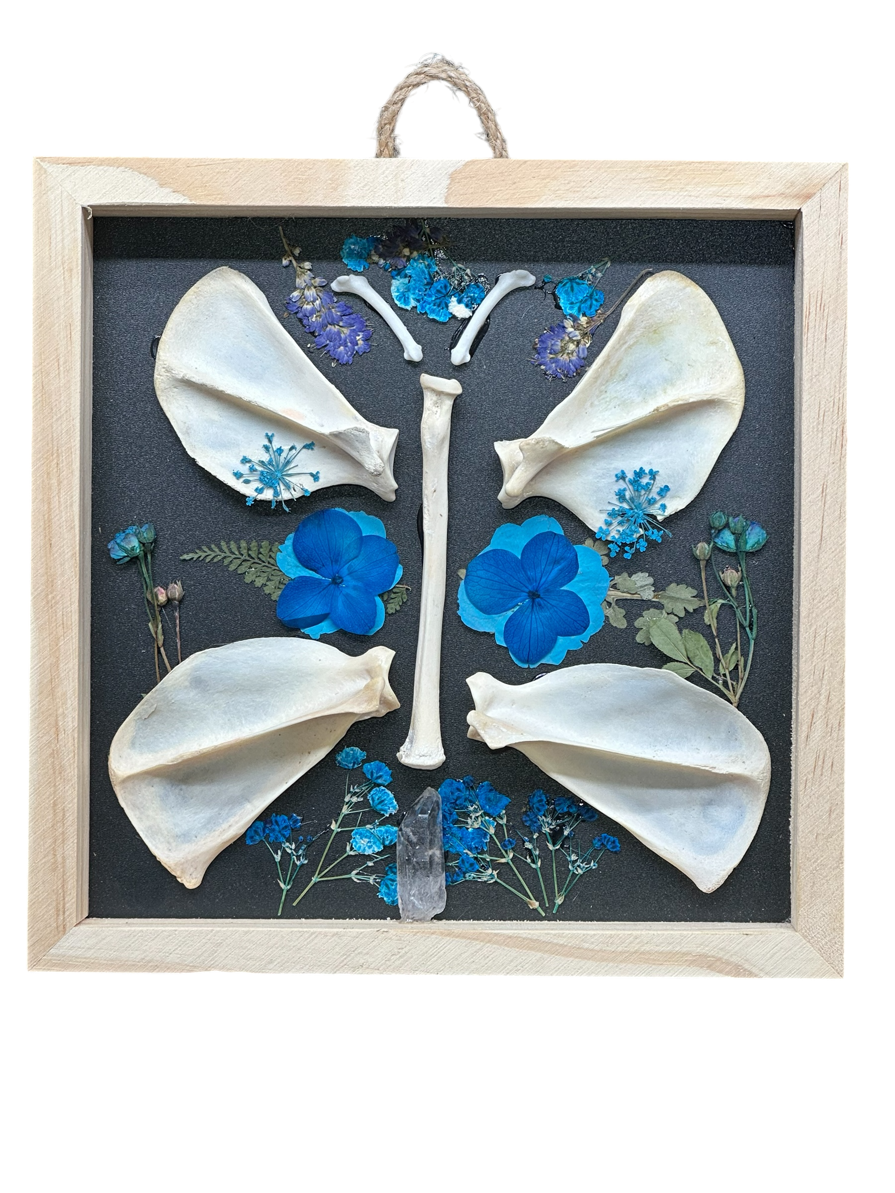 Blue Flower & Bone Butterfly Shadow Box