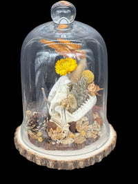 Raccoon Skull Glass Dome with Butterfly
