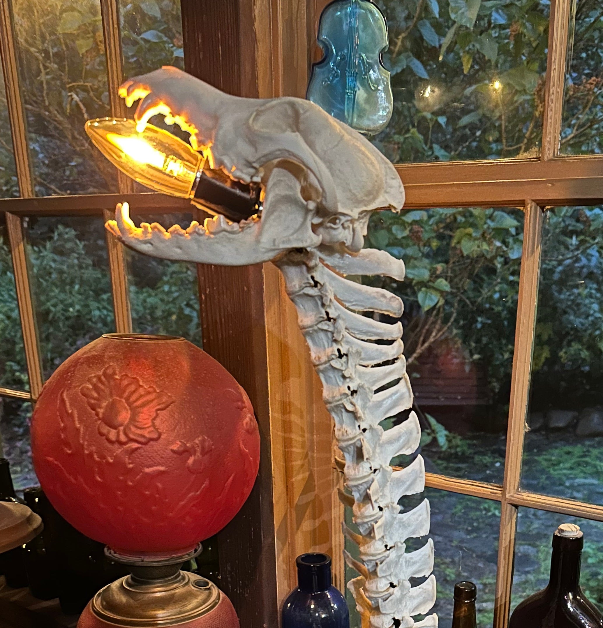 Coyote Skull & Deer Vertebrae Lamp