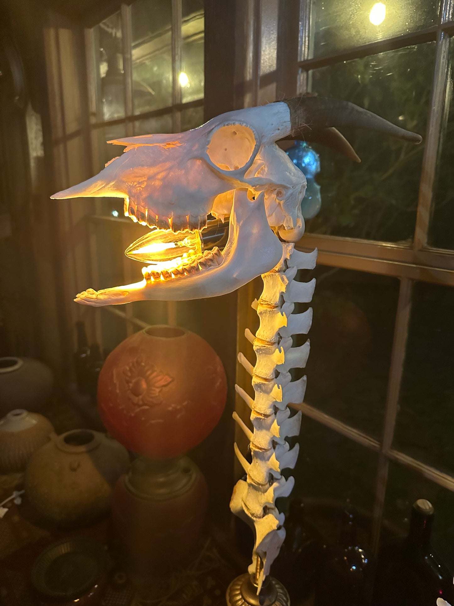 Goat Skull & Deer Vertebrae Lamp