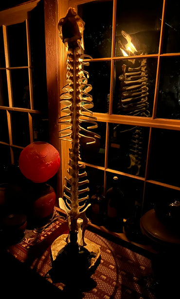 Articulated Deer Lamp