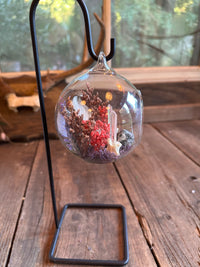 Glass Ornament - Dried Rabbit Ear with Quartz